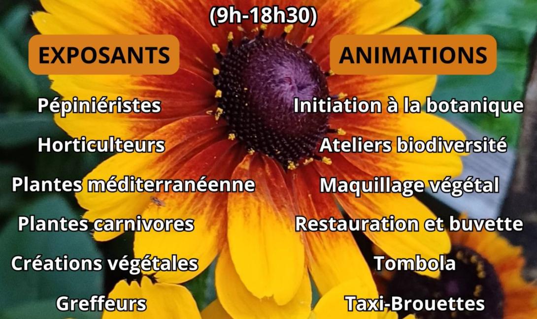 foire aux plantes