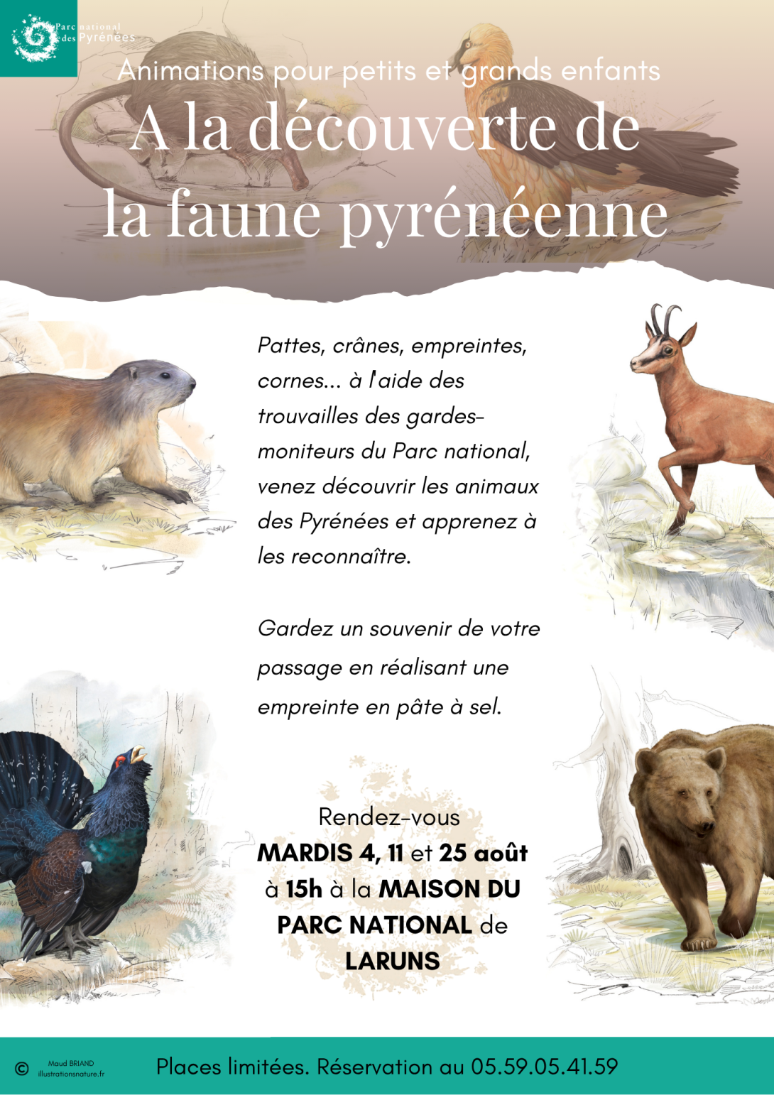 Animation faune