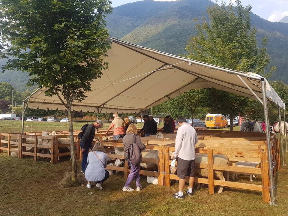 Foire de Guchan
