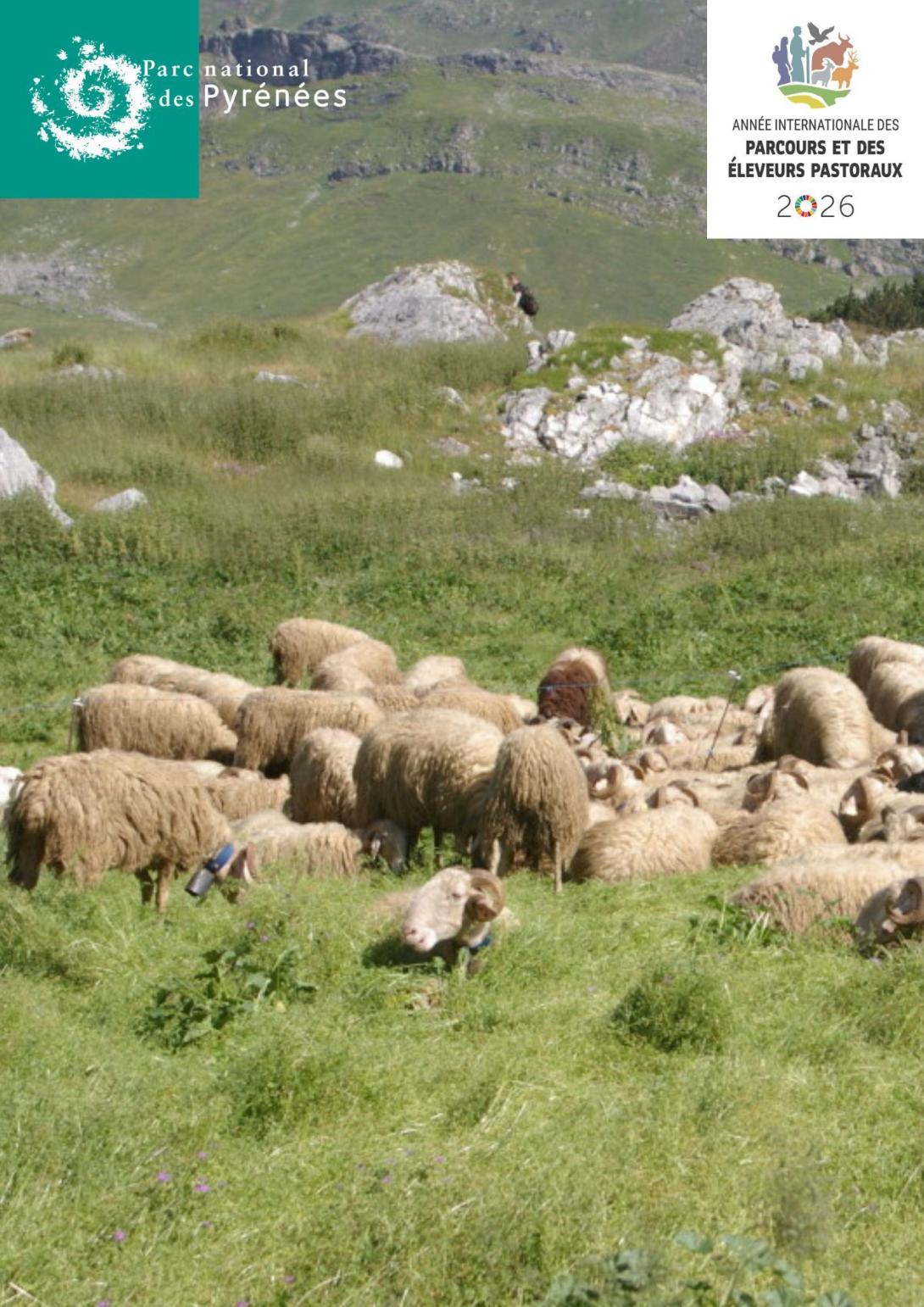 sortie pasto