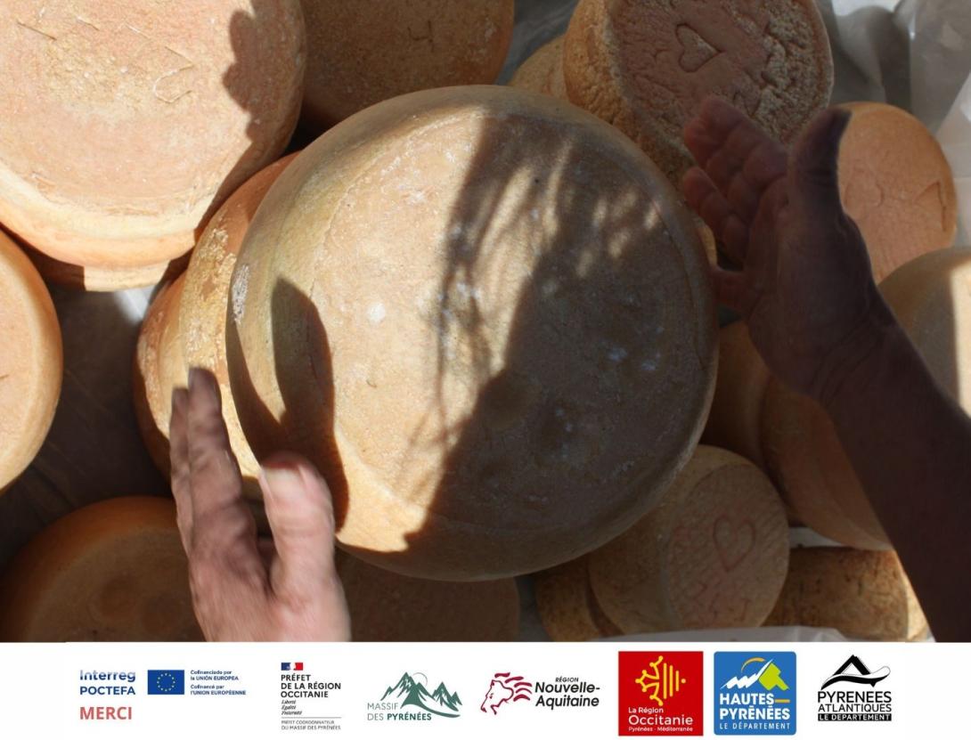 fete du fromage