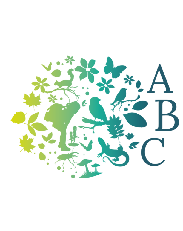 abc-logo-decoupe-abc-transparent-h.png